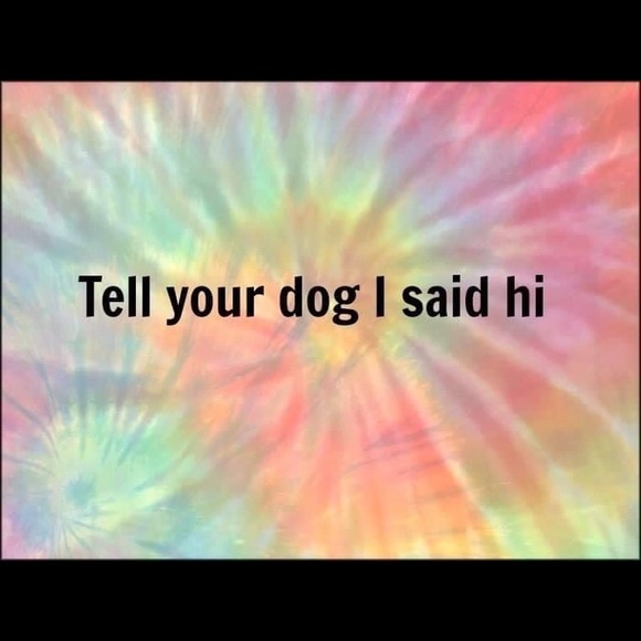 Meet your Posher, Demme - Picture 6 of 6